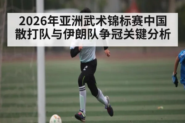2026年亚洲武术锦标赛中国散打队与伊朗队争冠关键分析（kaiyun）